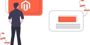 Hire Magento Developers
