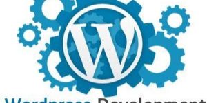 Wordpress Development Services
