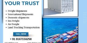 Sea Freight