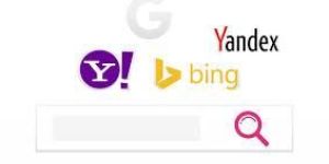 Search Engine Optimization Services