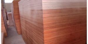 Shuttering Plywood