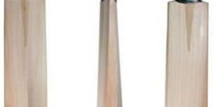 Cricket Bats