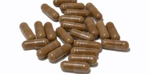 Cordyceps Militaris Mushroom Capsules