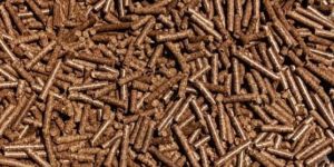 Bio Mass Briquettes