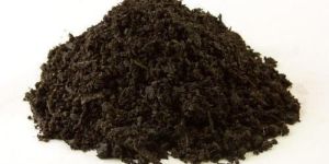 Vermicompost Fertilizer