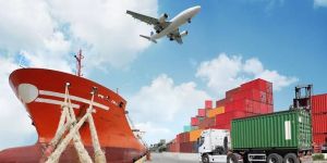 Export - Import Consultants