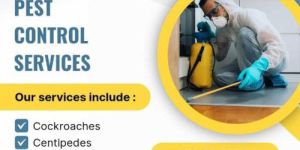 Pest Control Services
