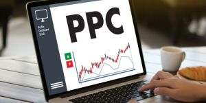 Ppc Campaign Management Services