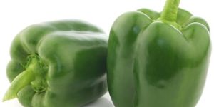 Capsicum