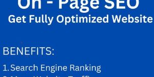 Search Engine Optimization Services