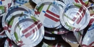 6 Inch 100gsm Paper Plate