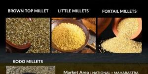 Organic Millet