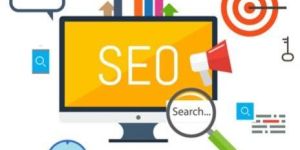 Search Engine Optimization Service