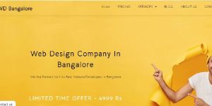 Website Designing