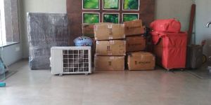 Local Shifting Services