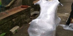 Vehicle Transportation Services