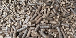 Biomass Briquette Press