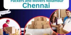Packers Movers Service