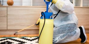 Indoor Mosquito Control Service