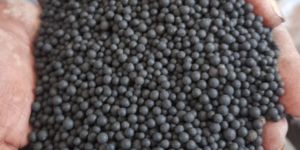 Phosphate Rich Organic Manure