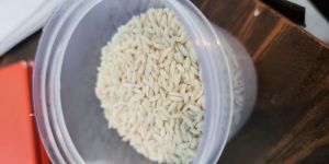Fortified Rice Kernels