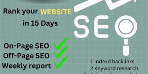 Seo Reports Services