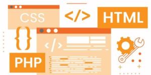 Website Design and Development