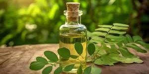 Organic Moringa Oil