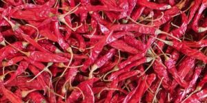 Armoor Chilli