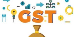 GST Consultant Service