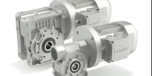 Worm Gear Motor