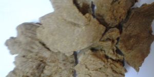 Organic Morings Seed Cake