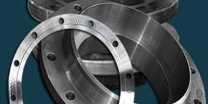 Hastelloy Flanges