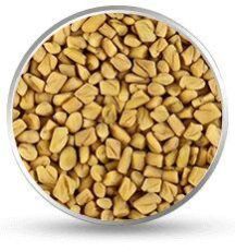Fenugreek Seeds