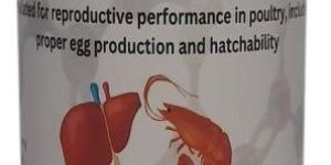 BIRDVITA Poultry Feed Supplement