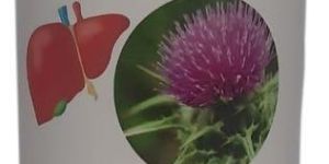 IROFLIV Animal Liver Tonic