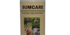 SUMCARE Animal Health Medicines