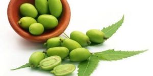 Neem Fruit