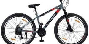 Cultsport Dauntless 21S29T Mountain Bike