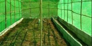 Green House Net Shed