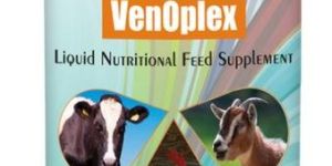 Vitamin B Complex Liquid Supplement for Cattle