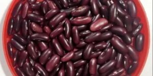 Red Kidney Bean