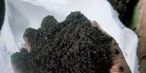 Bio Organic Fertilizer