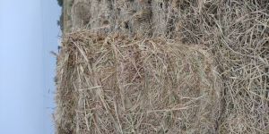 Round Straw Baler