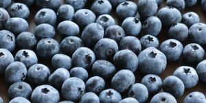 Frozen Blueberry