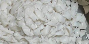 Frozen Tender Coconut Kernel Slices