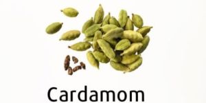 Cardamom