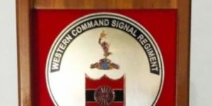 Presentation Shield Momento