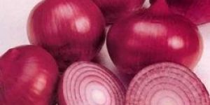 Natural Red Onion