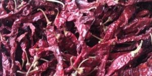 Dry Red Chilli